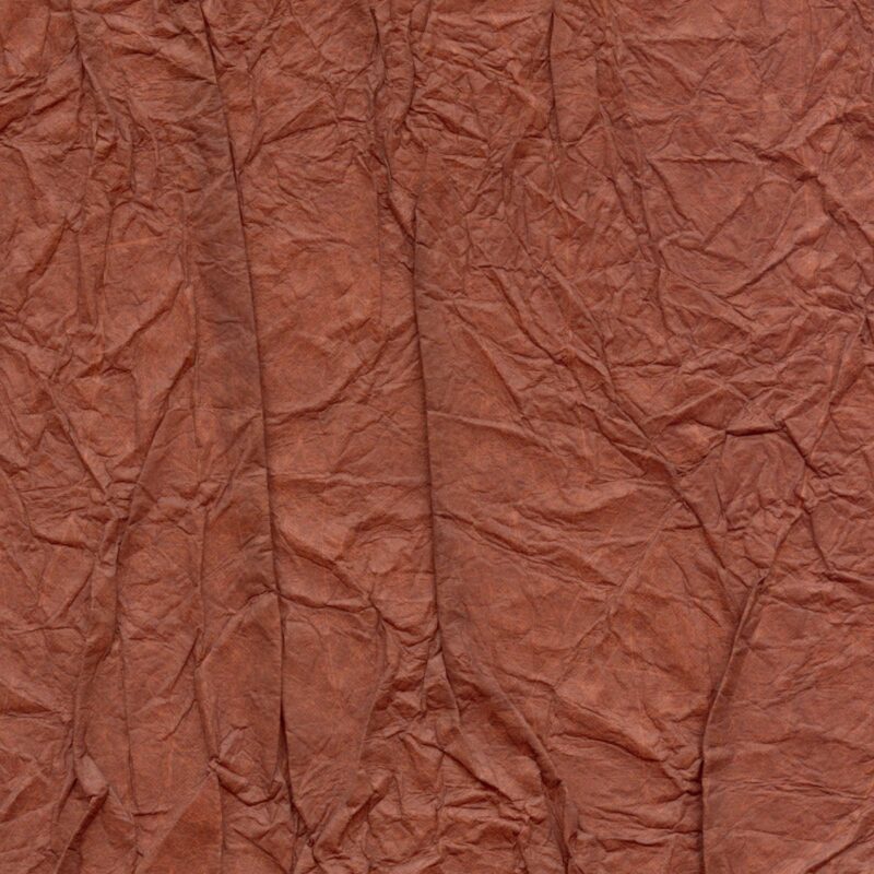 Splendeurs d'une favorite