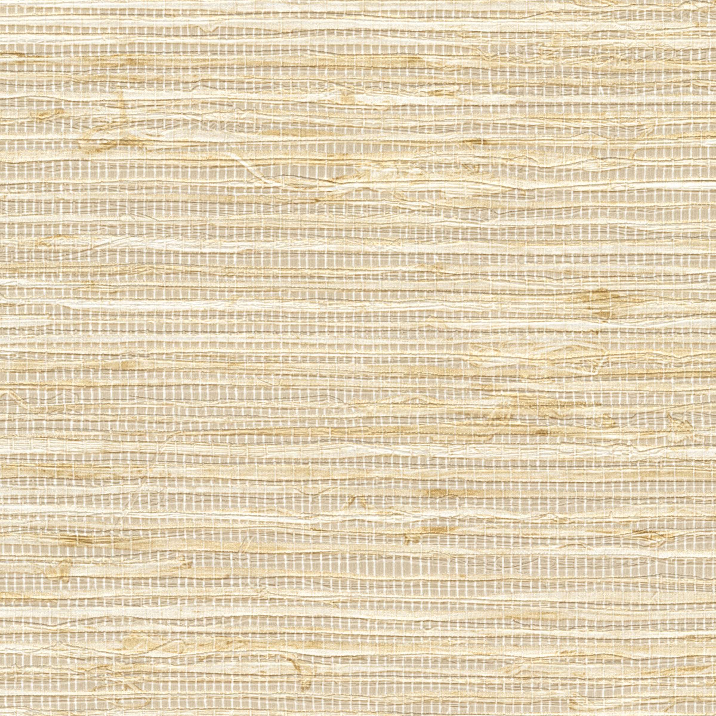 Arrowroot