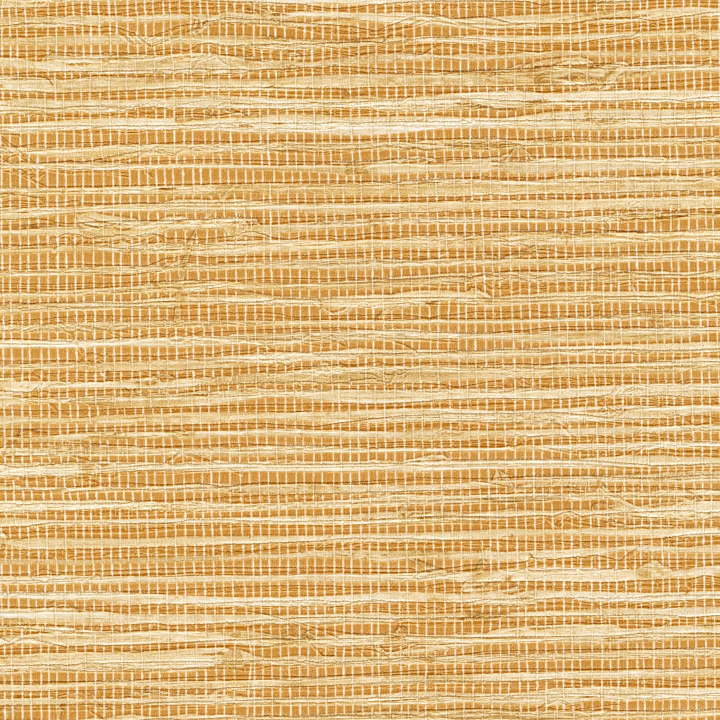 Arrowroot