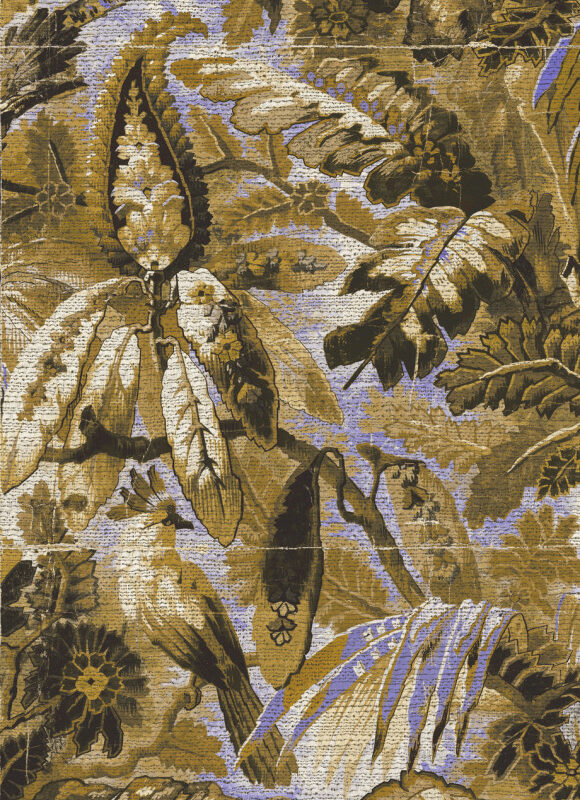 Tropicali