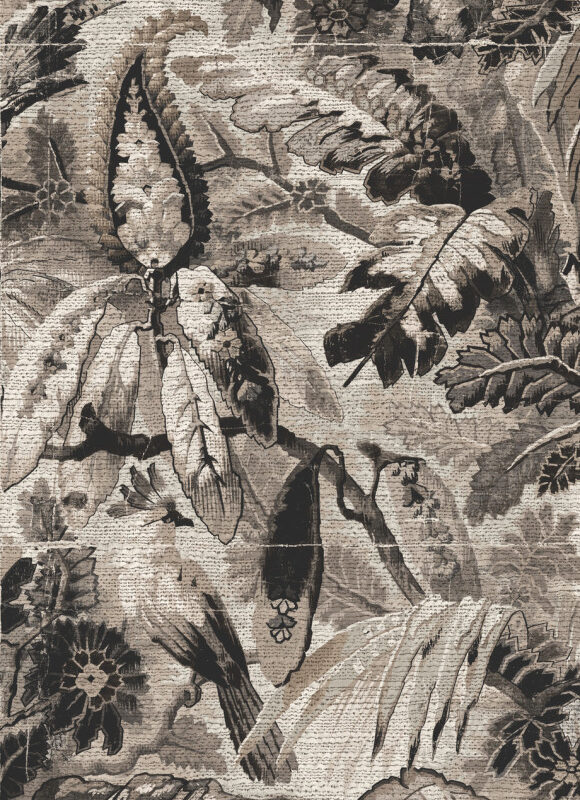 Tropicali