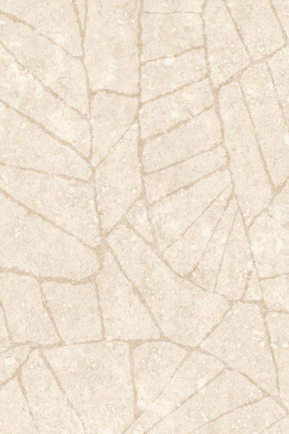 Fragment