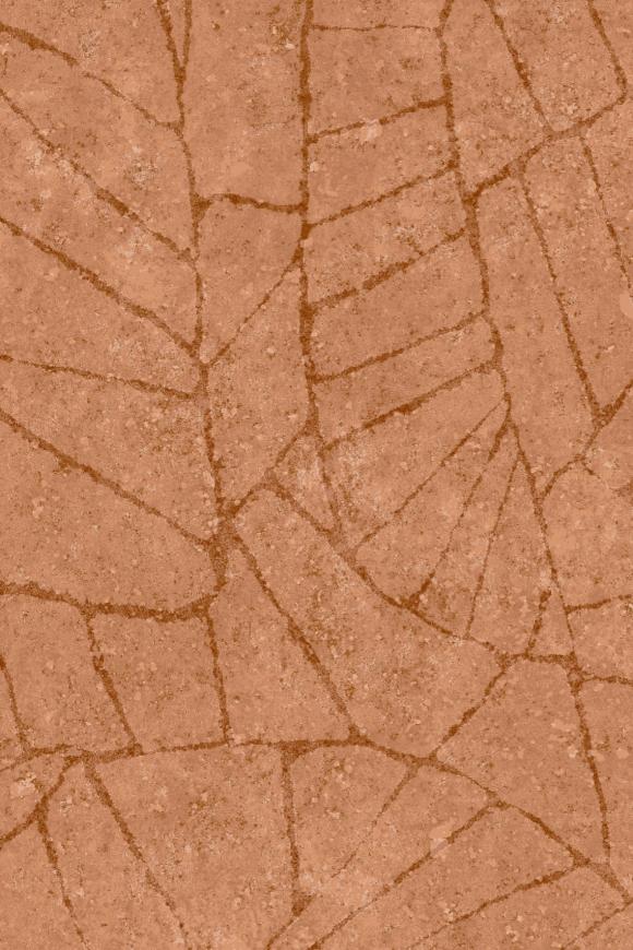 Fragment