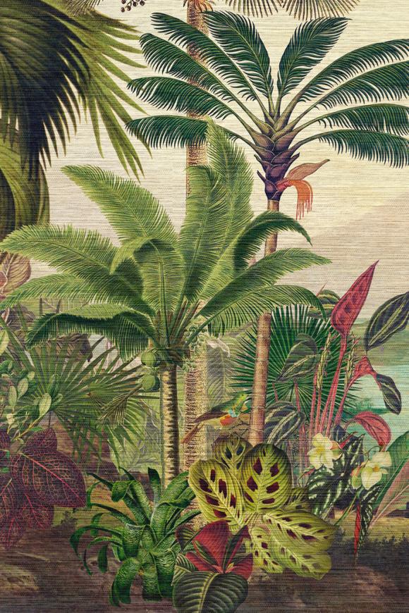 Rêverie Tropicale