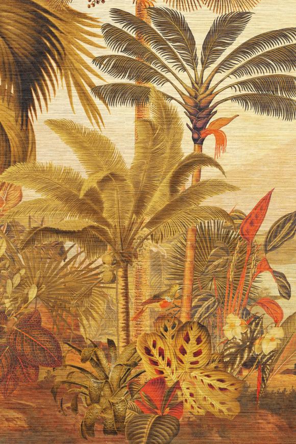 Rêverie Tropicale